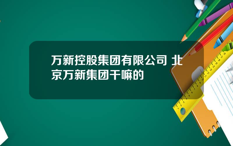 万新控股集团有限公司 北京万新集团干嘛的